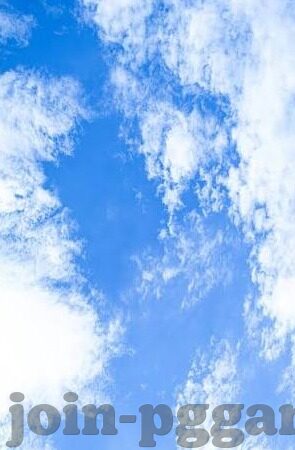 世界杯球赛群殴-世界杯球赛群殴，激情与失控的边界